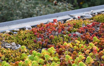 the cost of Brocks Green green roof installation