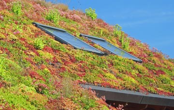 Brocks Green living roof systems