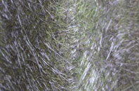 Brocks Green fibreglass roof work